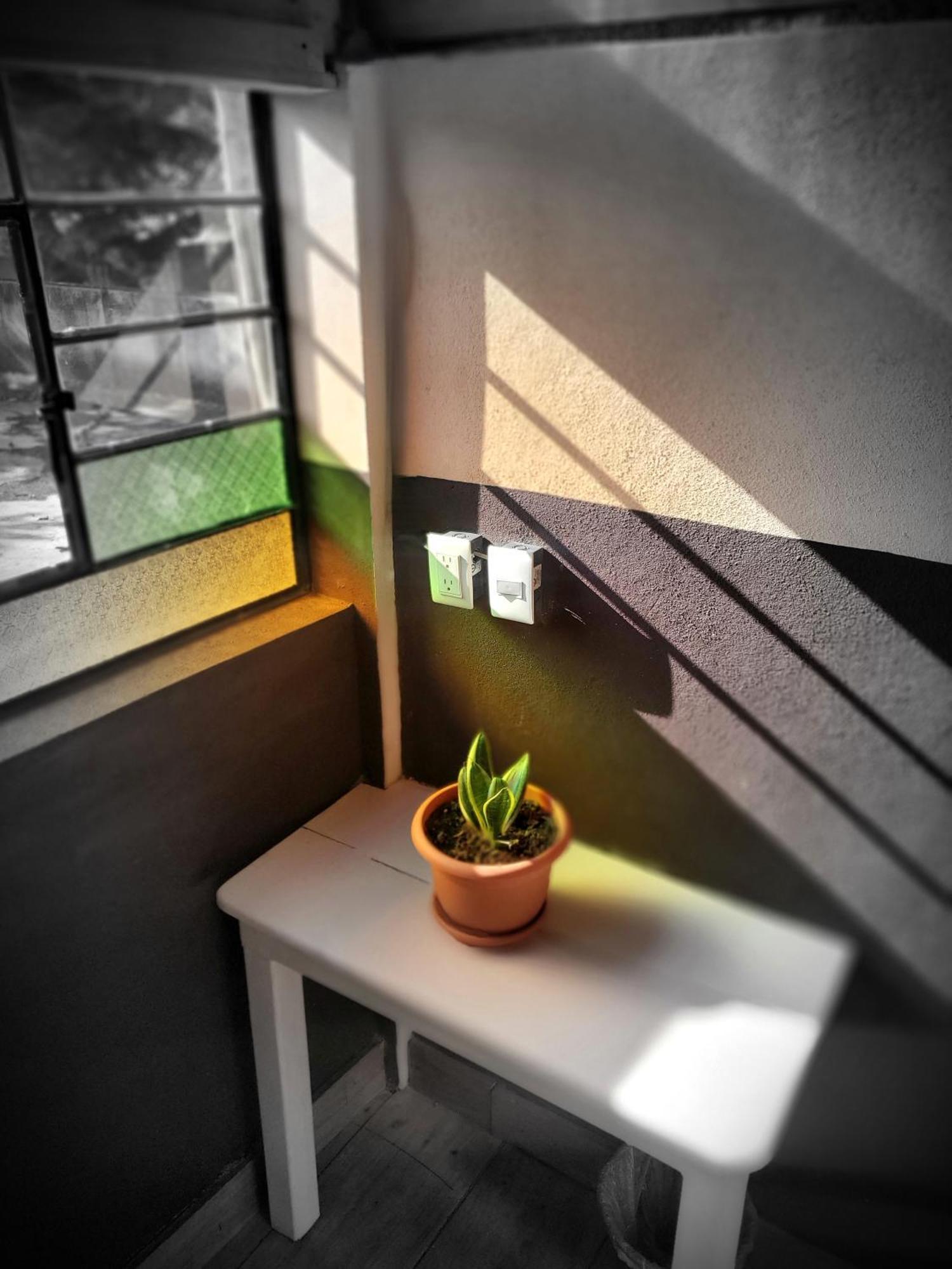 Hotel Art & Coffee Santa Cruz La Laguna Habitación foto